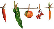 Vegetables clipped to a clothesline. - Copyright – Stock Photo / Register Mark